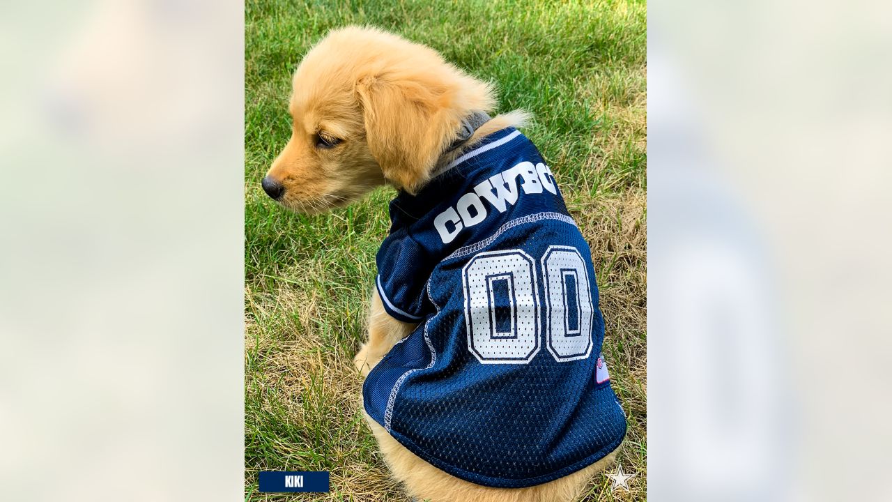 Dallas Cowboys Pet Mesh Jersey