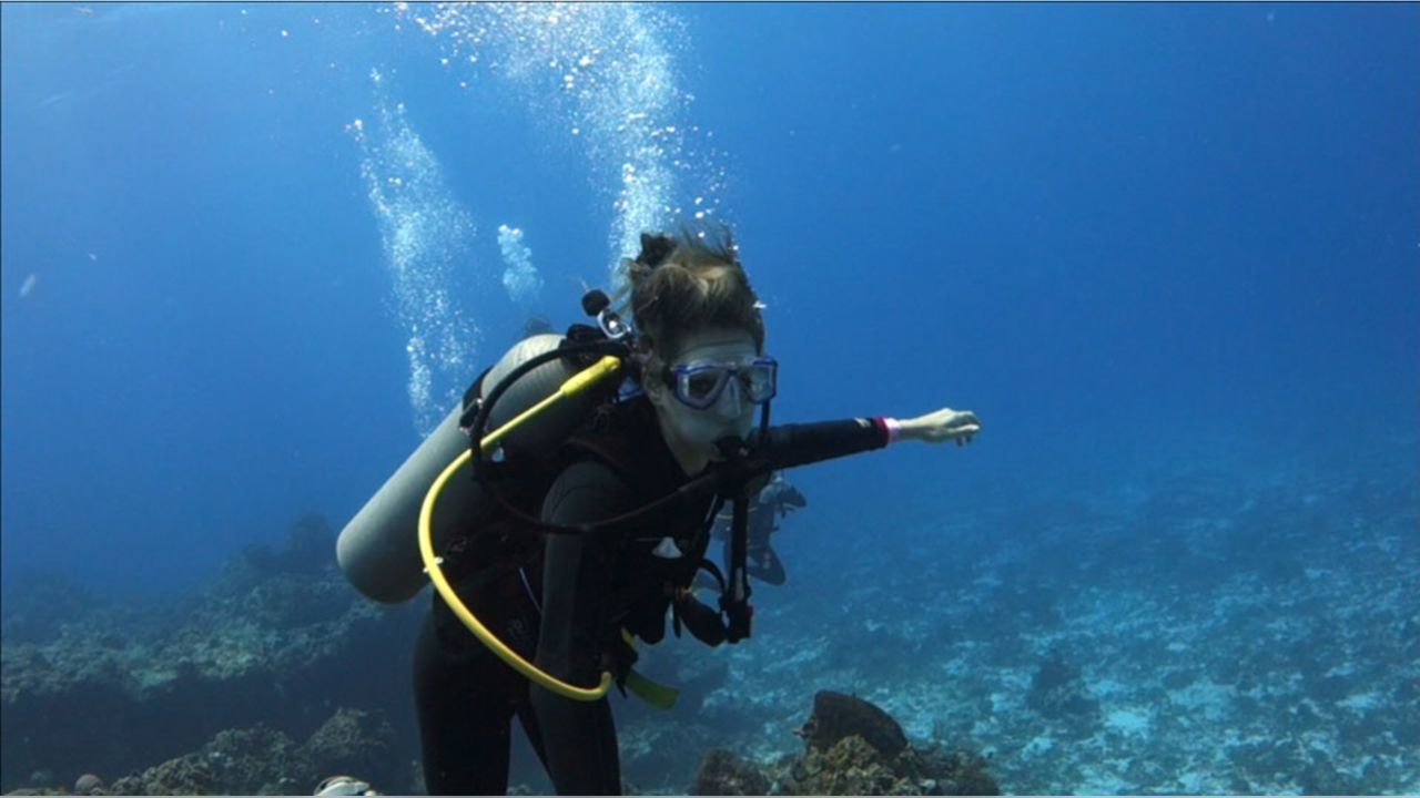 DCC CALENDAR SHOOT: Photos of the Dallas Cowboys Cheerleaders from their  scuba excursion