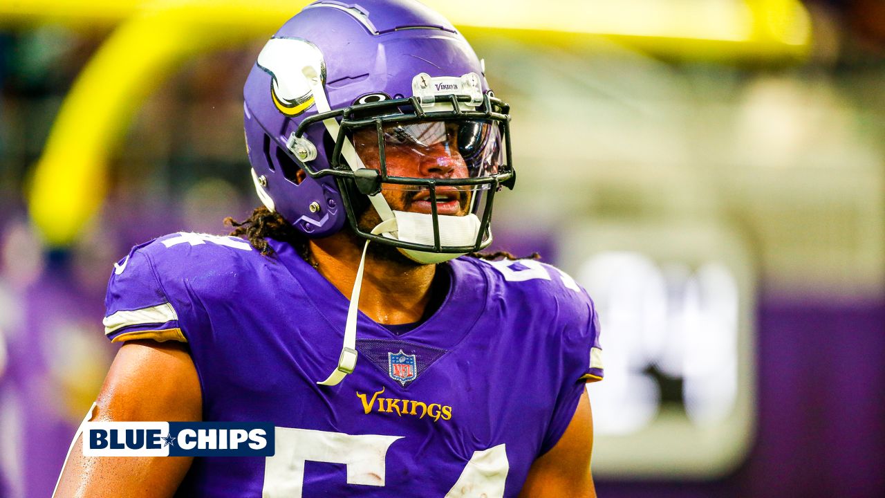 Blue Chips: The Best Players On Vikings Roster