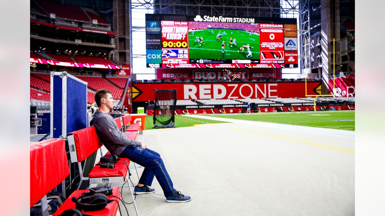 Our 'Protect the Nest' ticket plans - Arizona Cardinals