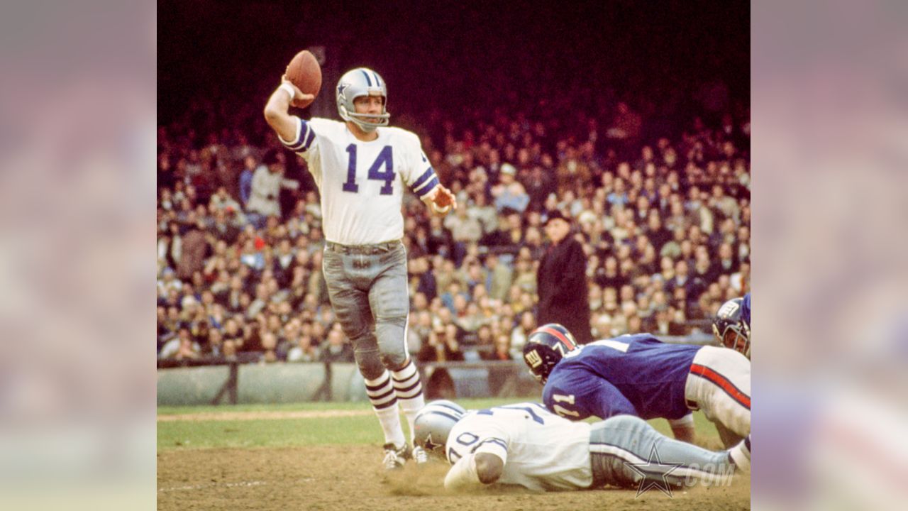 Minnesota Vikings quarterback Brad Johnson gets set to pass in the second  half. The Minnesota Vikings defeated the New York Giants 24-21 in week 10  at Giants Stadium in East Rutherford New