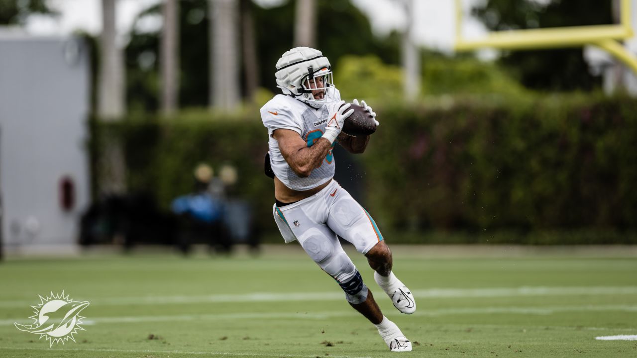 Miami Dolphins tight end Julian Hill runs with the ball on the