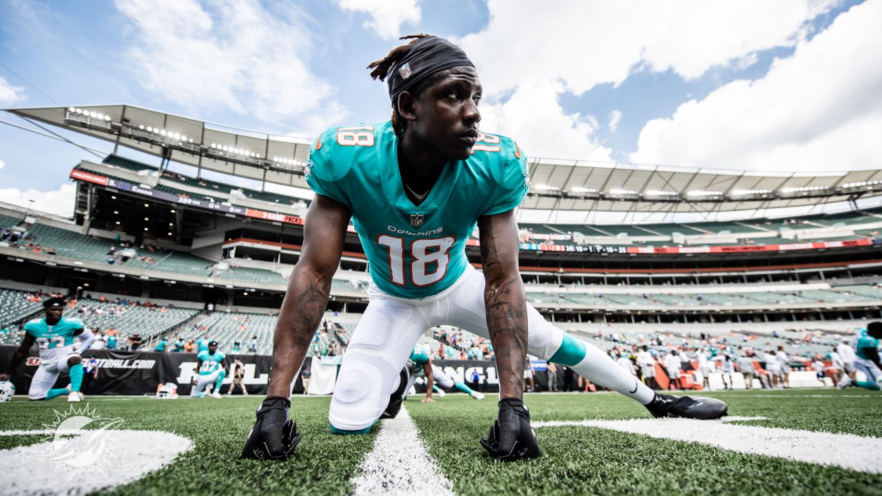 Dolphins v. Bengals Preseason Week 3 2021 - The Phinsider