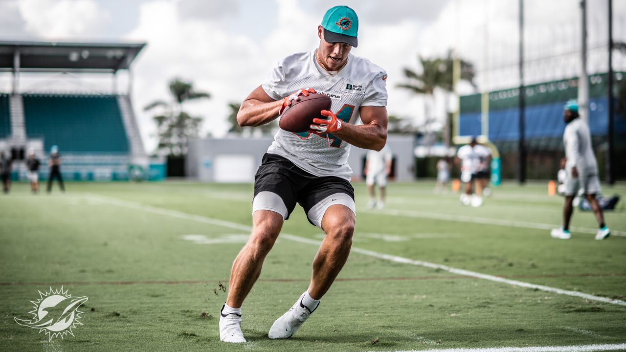 Miami Dolphins tight ends Hunter Long (84) and Durham Smythe (81