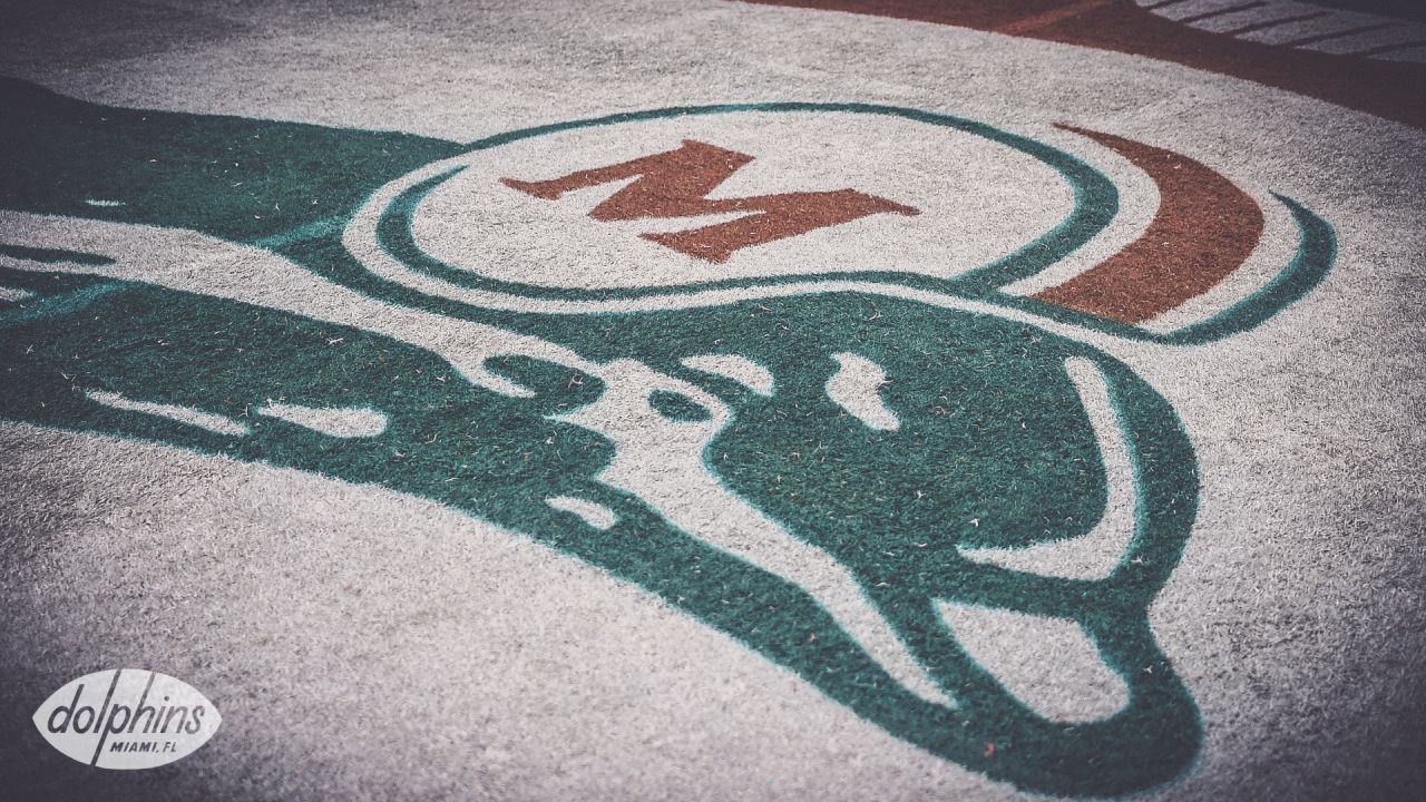 DOLPHINS DARKROOM: Throwback End Zones