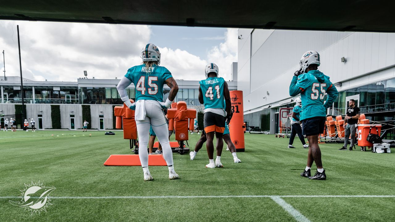 PHOTOS: 2022 Miami Dolphins Practice - November 2