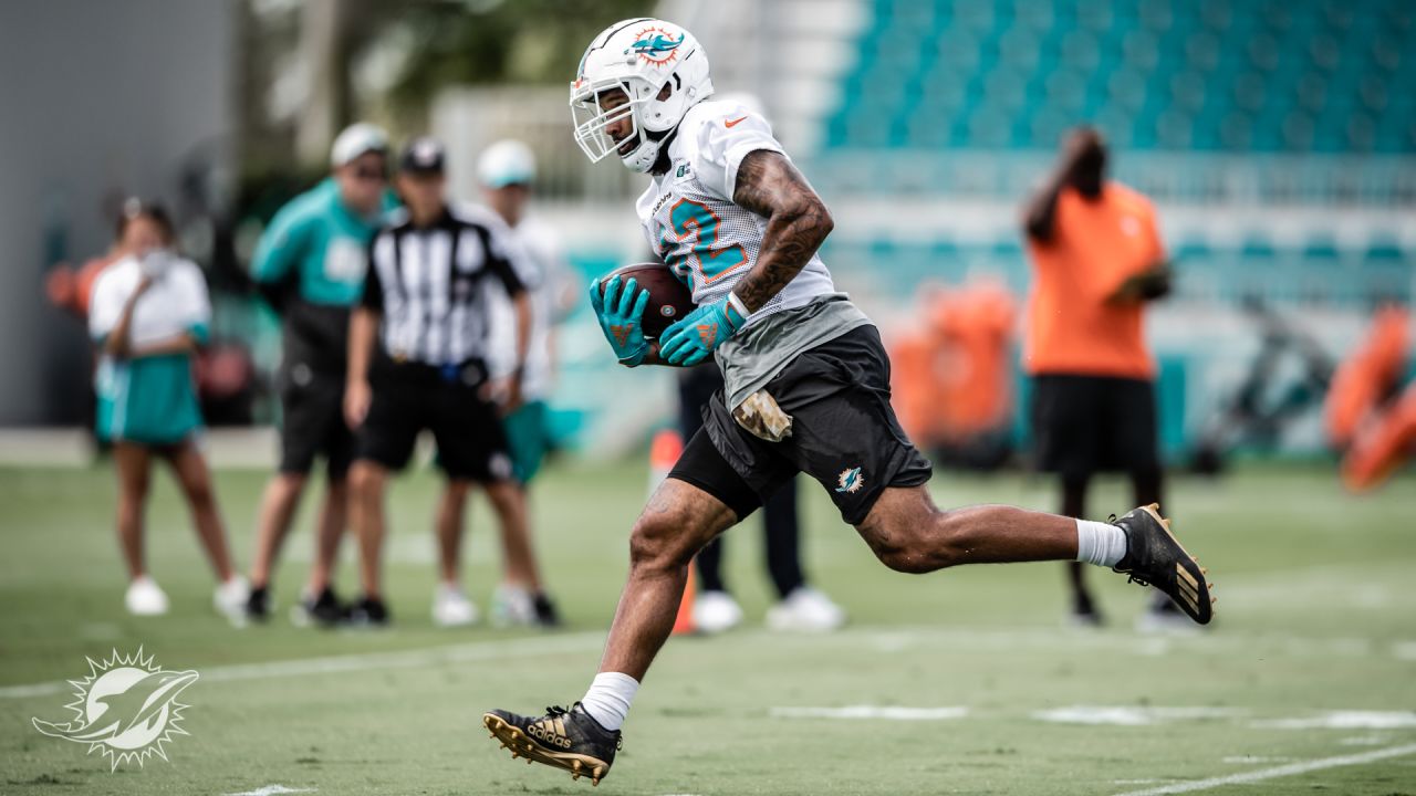 Photo Gallery: Dolphins minicamp, Tuesday, June 15, 20121