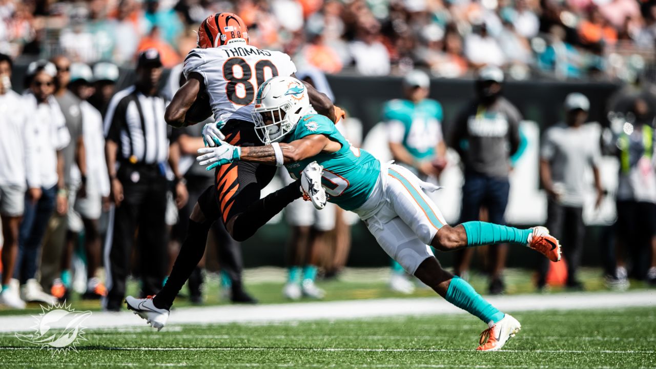 PHOTOS: Gameday - Dolphins vs. Bengals - Preseason Week 3