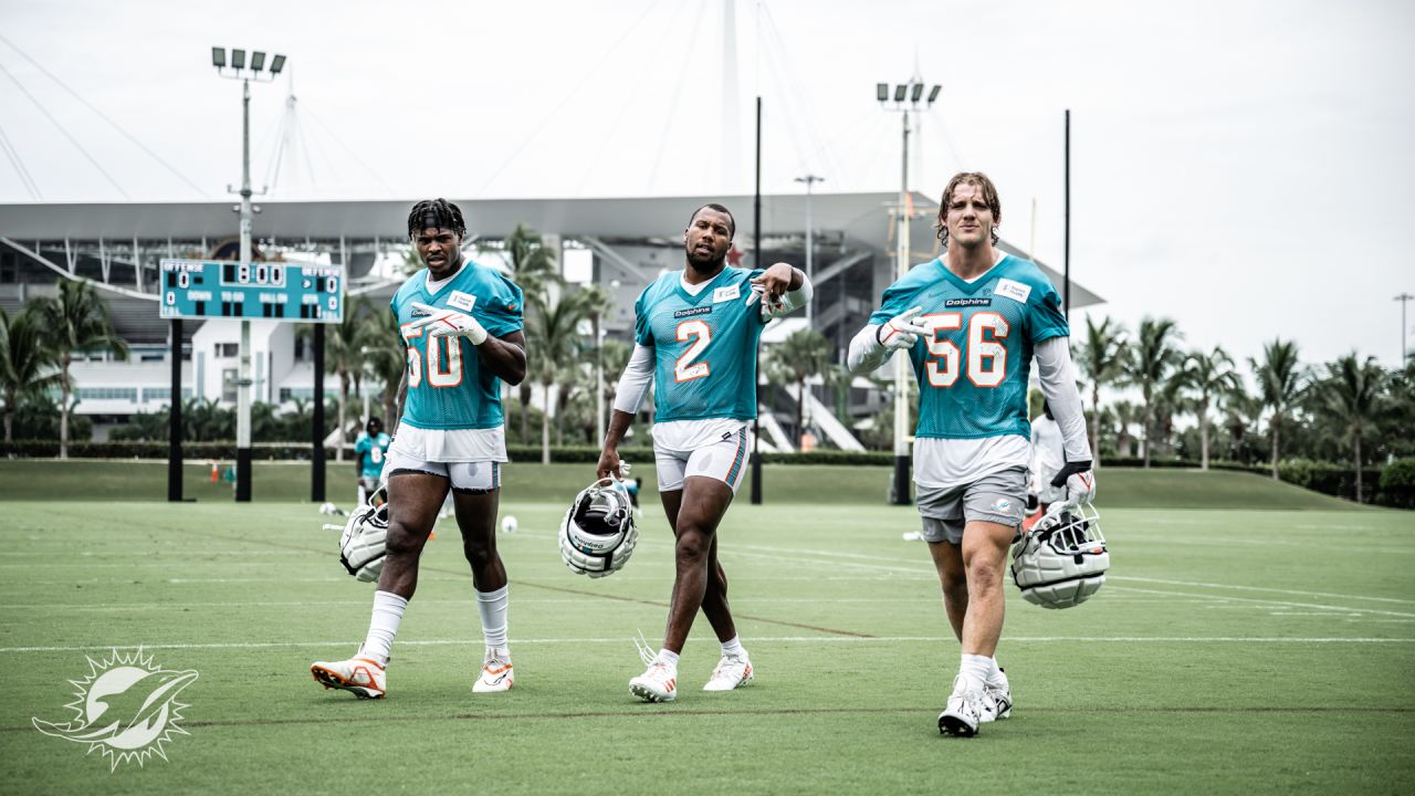 Photo gallery: Miami Dolphins training camp