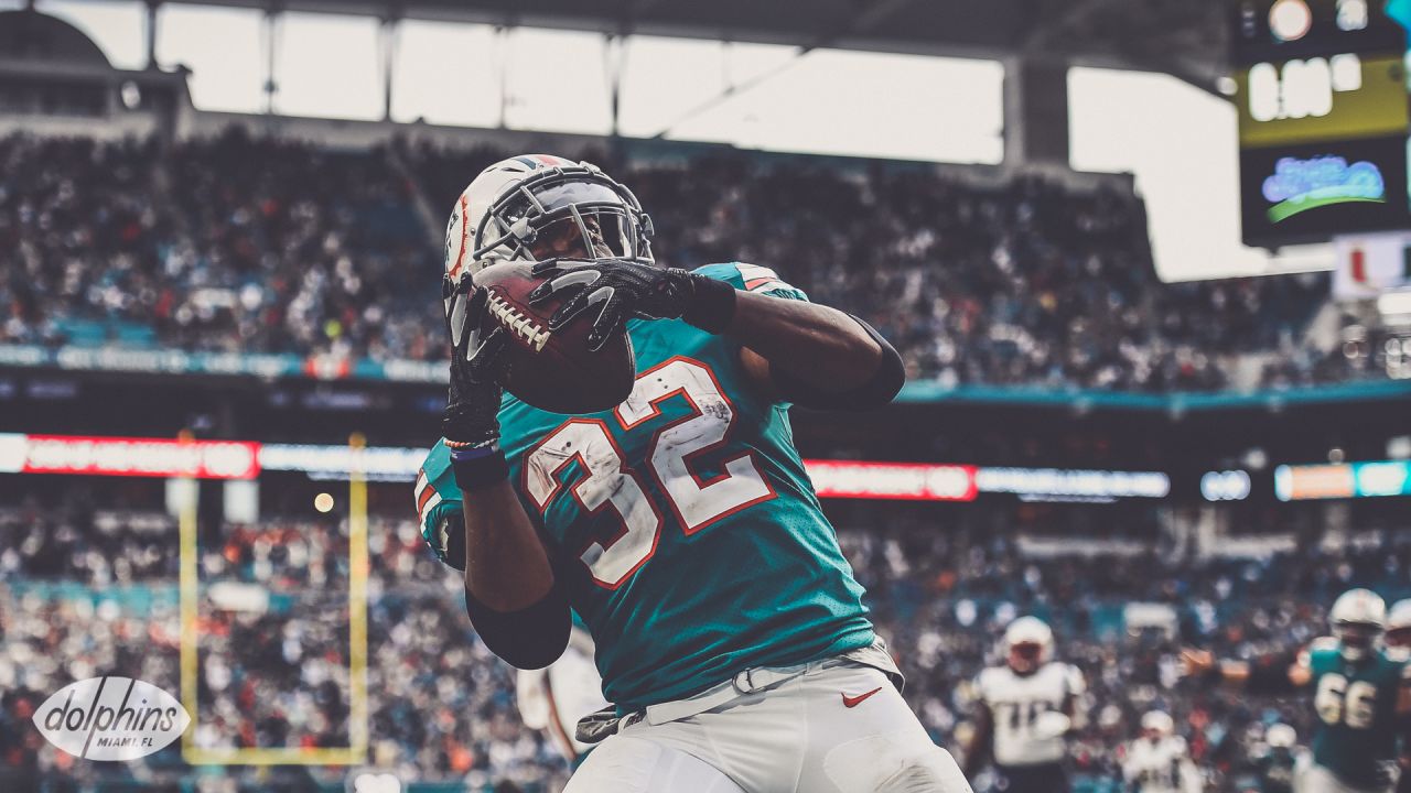 DOLPHINS DARKROOM: The Miami Miracle