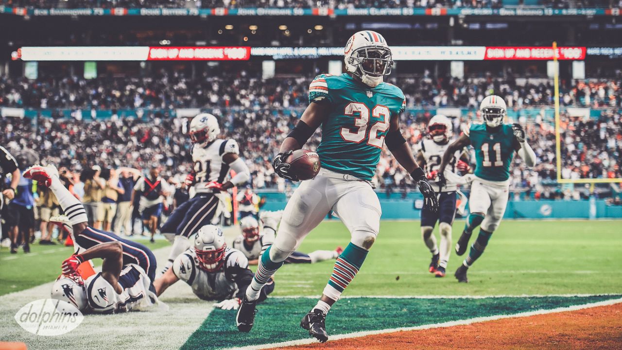 DOLPHINS DARKROOM: Full Game Gallery