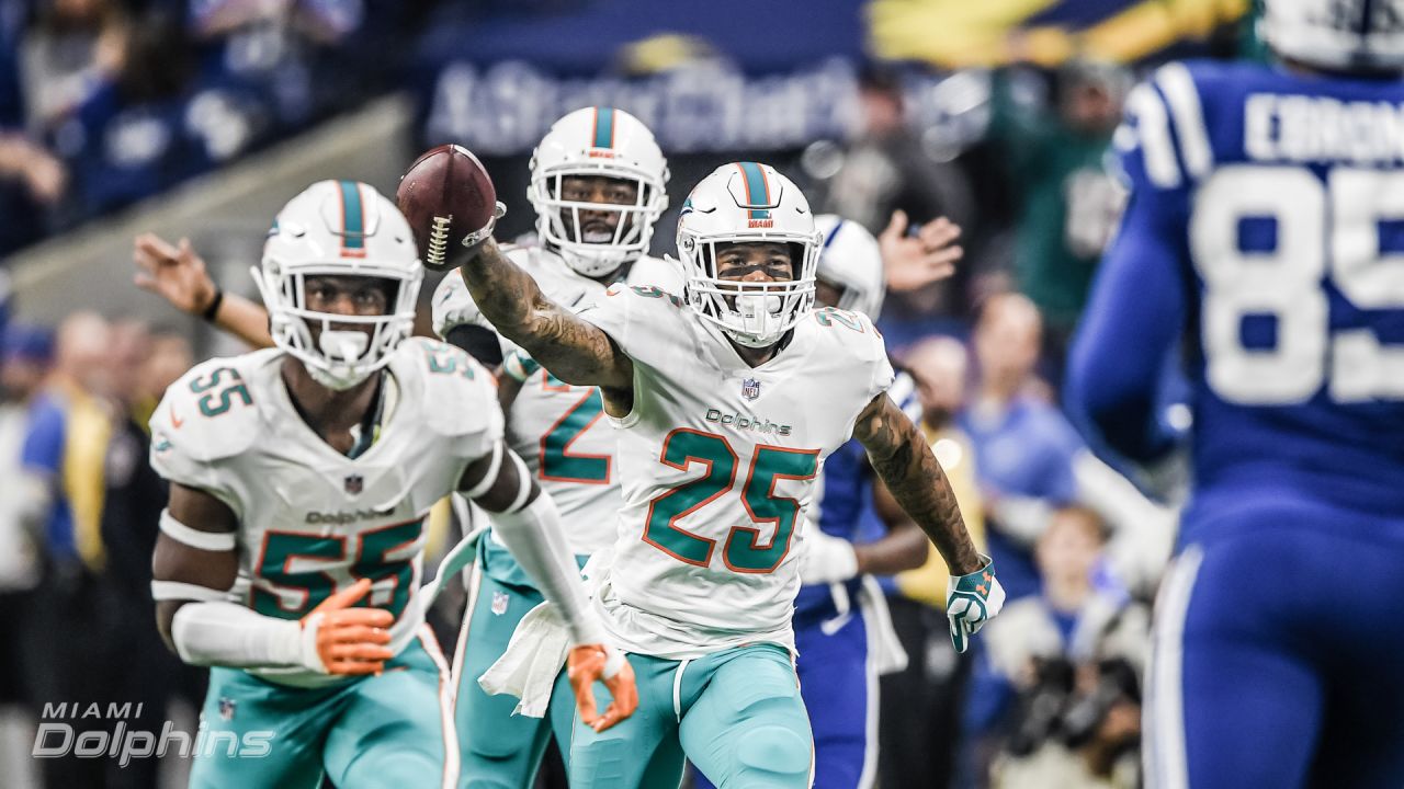 DOLPHINS DARKROOM: Top 25 Photos