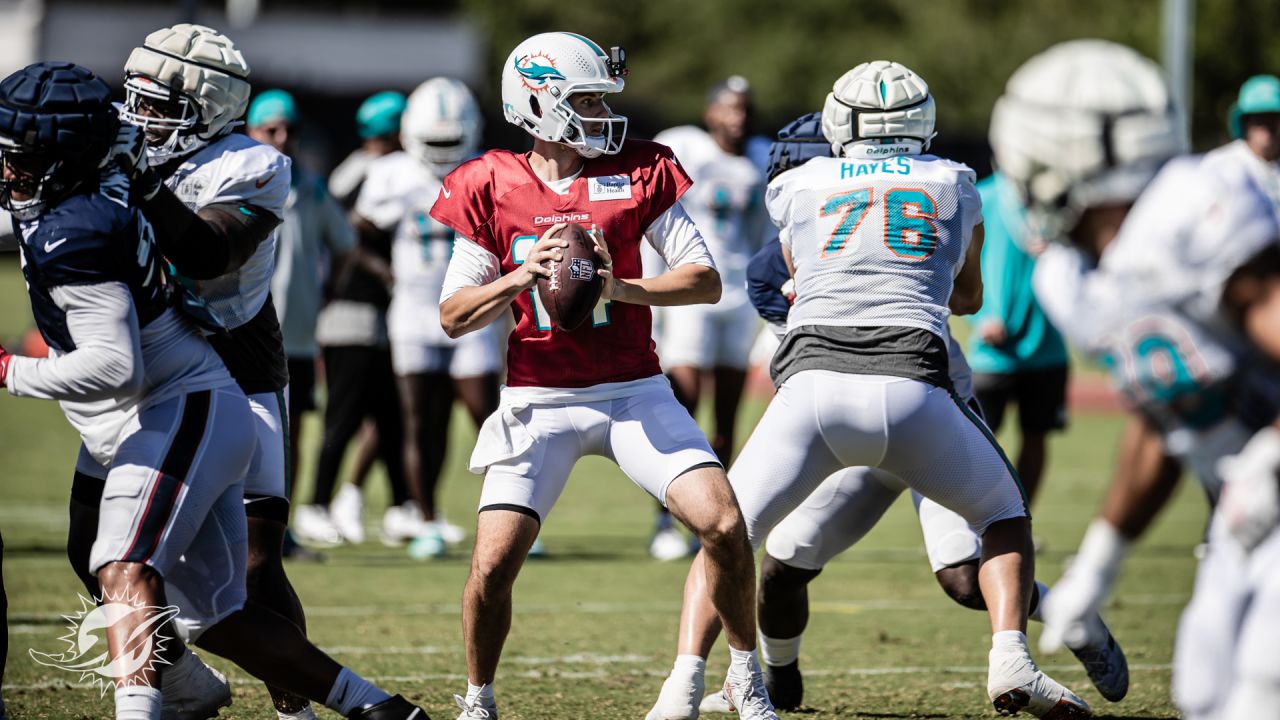 Miami Dolphins 2023 Training Camp Day 14! 