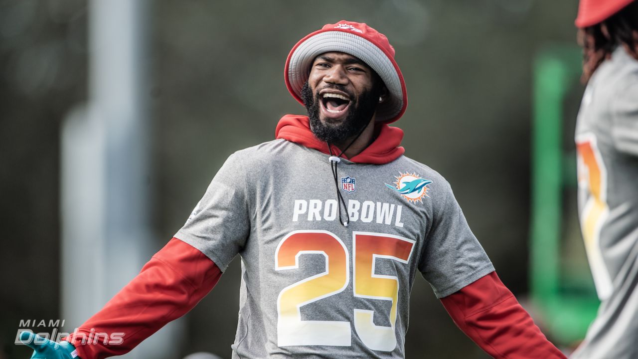 pro bowl hoodie