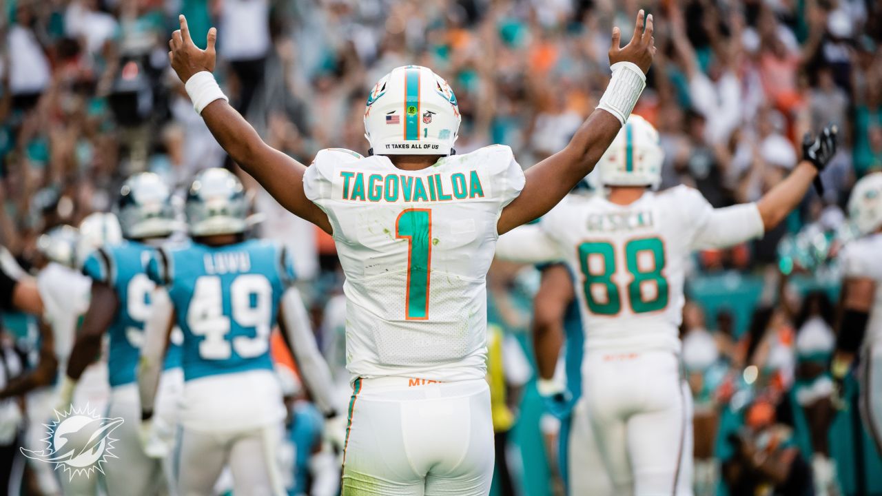 Miami Dolphins defensive back Clayton Fejedelem (42) waits for a