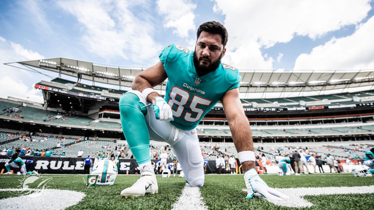 PHOTOS: Gameday - Dolphins vs. Bengals - Preseason Week 3