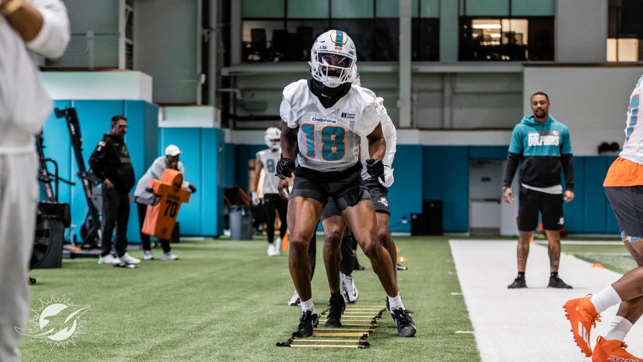 PHOTOS: 2022 Miami Dolphins Practice - November 2