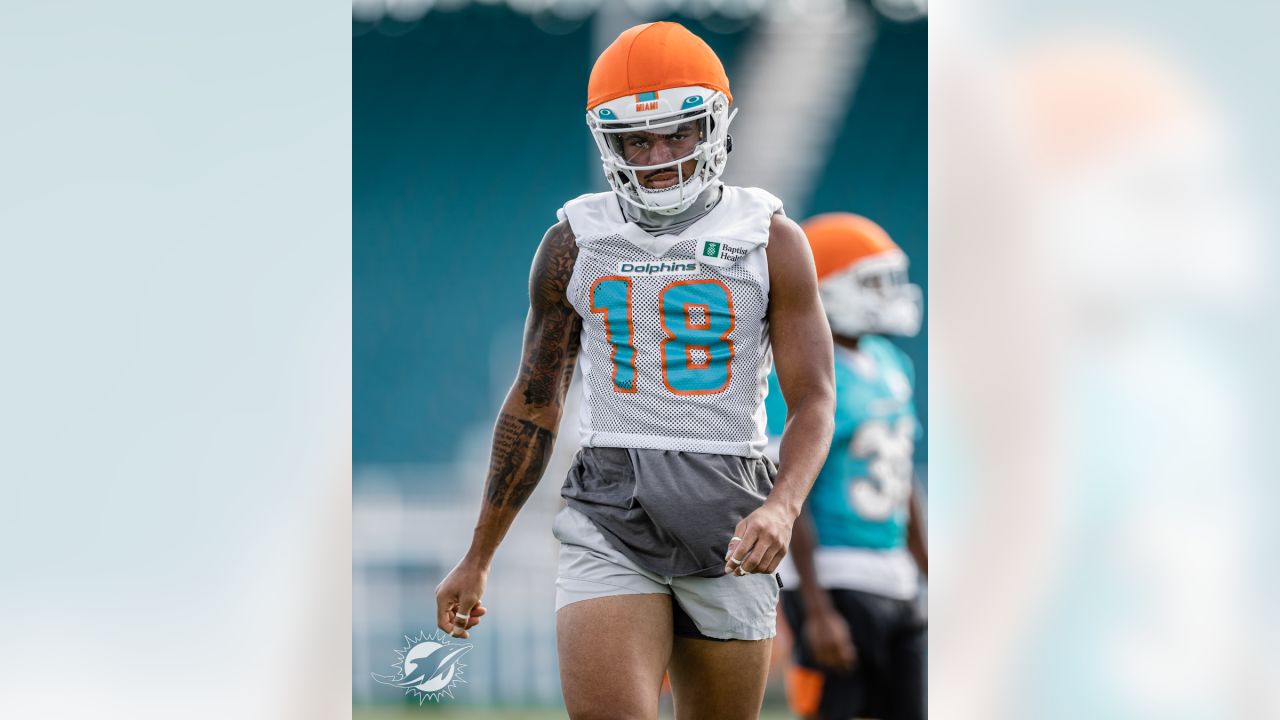 PHOTOS: 2022 Miami Dolphins Practice - December 28