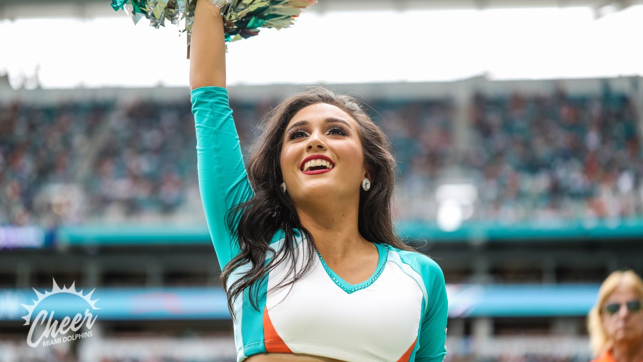 Miami Dolphins Bonanza : r/cheerleaders