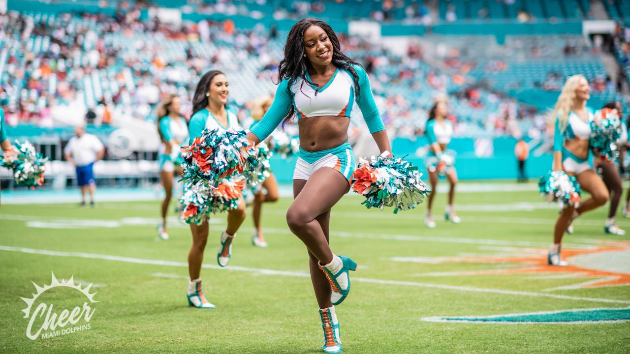 PHOTOS: Dolphins Cheer  Falcons vs. Dolphins - Week 7