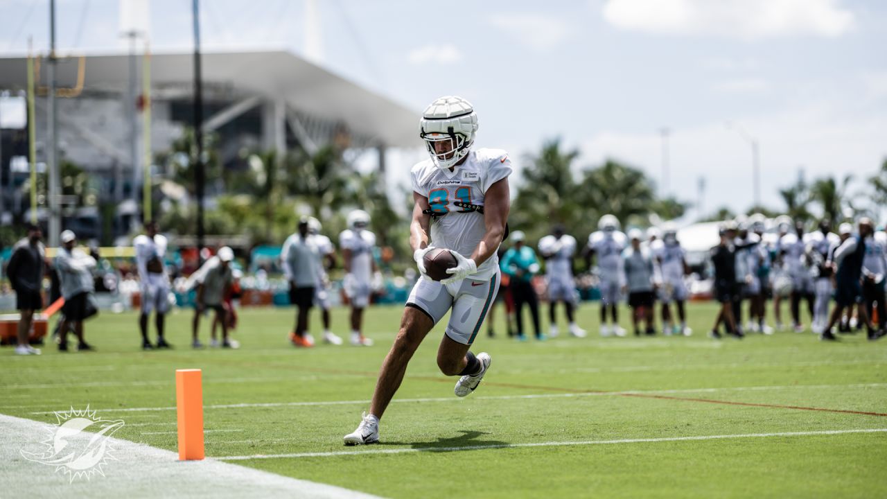 Miami Dolphins tight end Durham Smythe (81) on the field as the