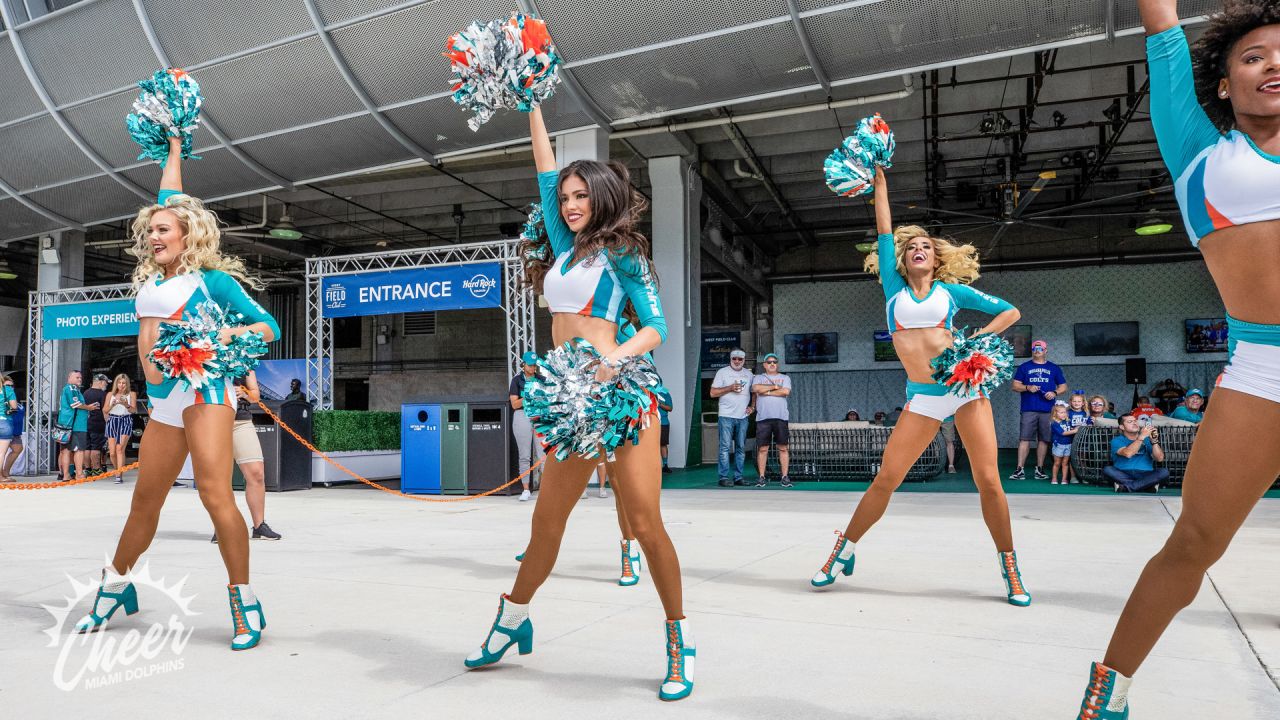 PHOTOS: Dolphins Cheer  Colts vs. Dolphins - Week 4