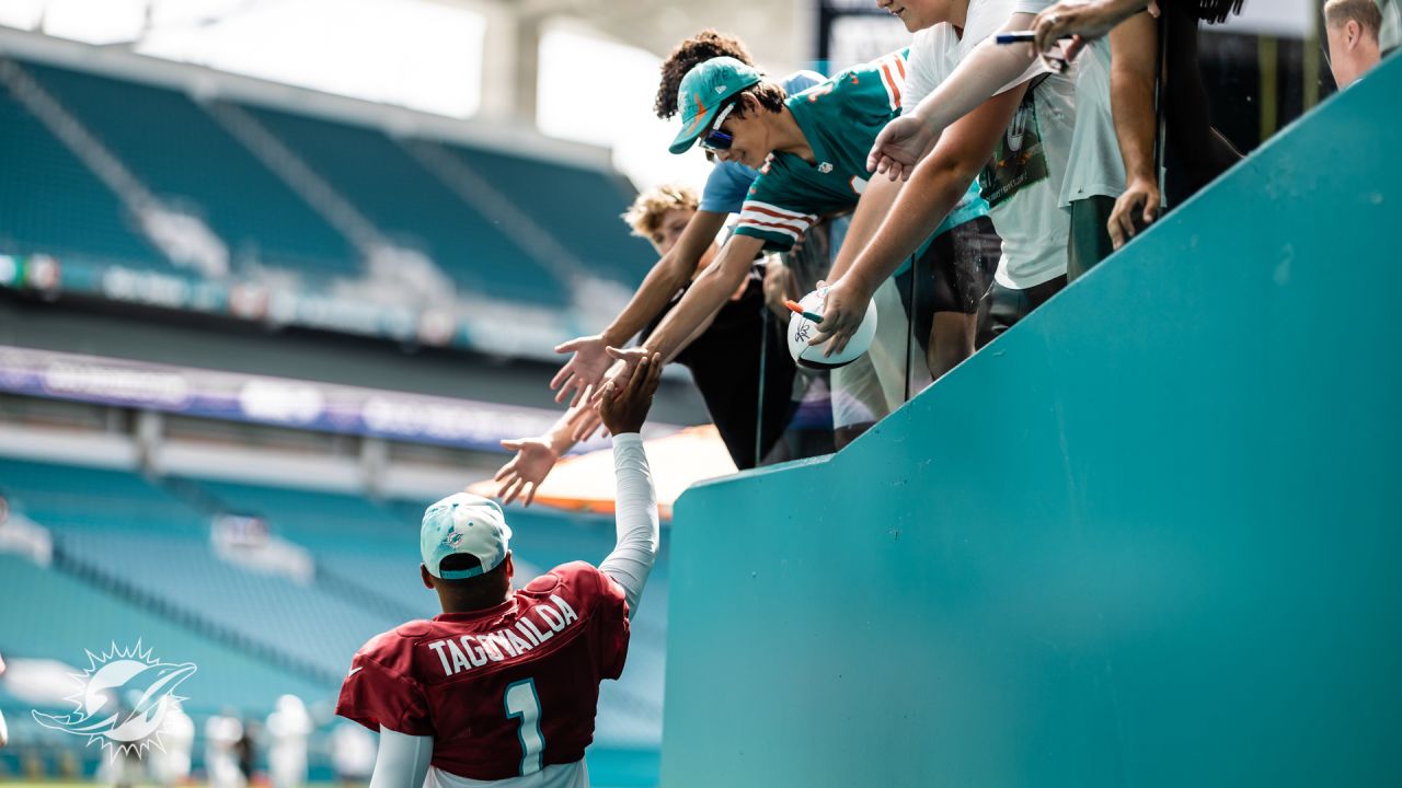 Miami Dolphins quarterbacks Tua Tagovailoa (1) Mike White (14) and James  Blackman (16) participate in drill during NFL football training camp at  Baptist Health Training Complex in Hard Rock Stadium on Thursday