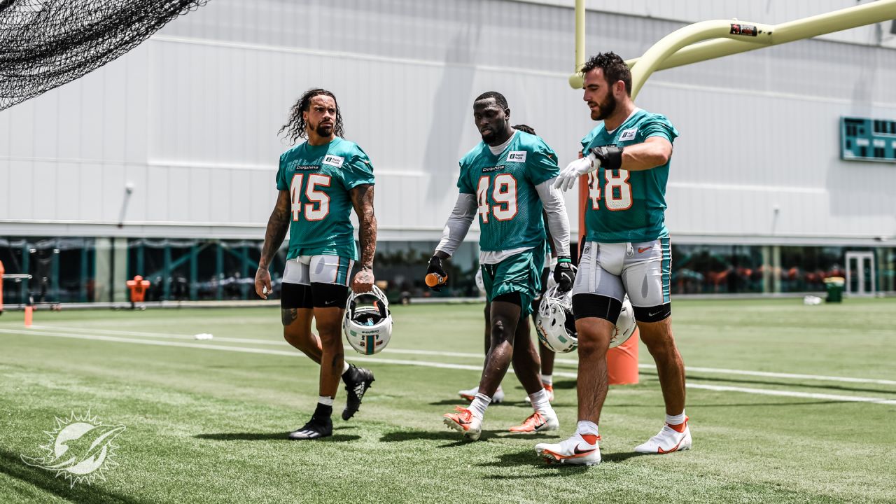 Miami Dolphins linebacker Sam Eguavoen (49) comes off the field