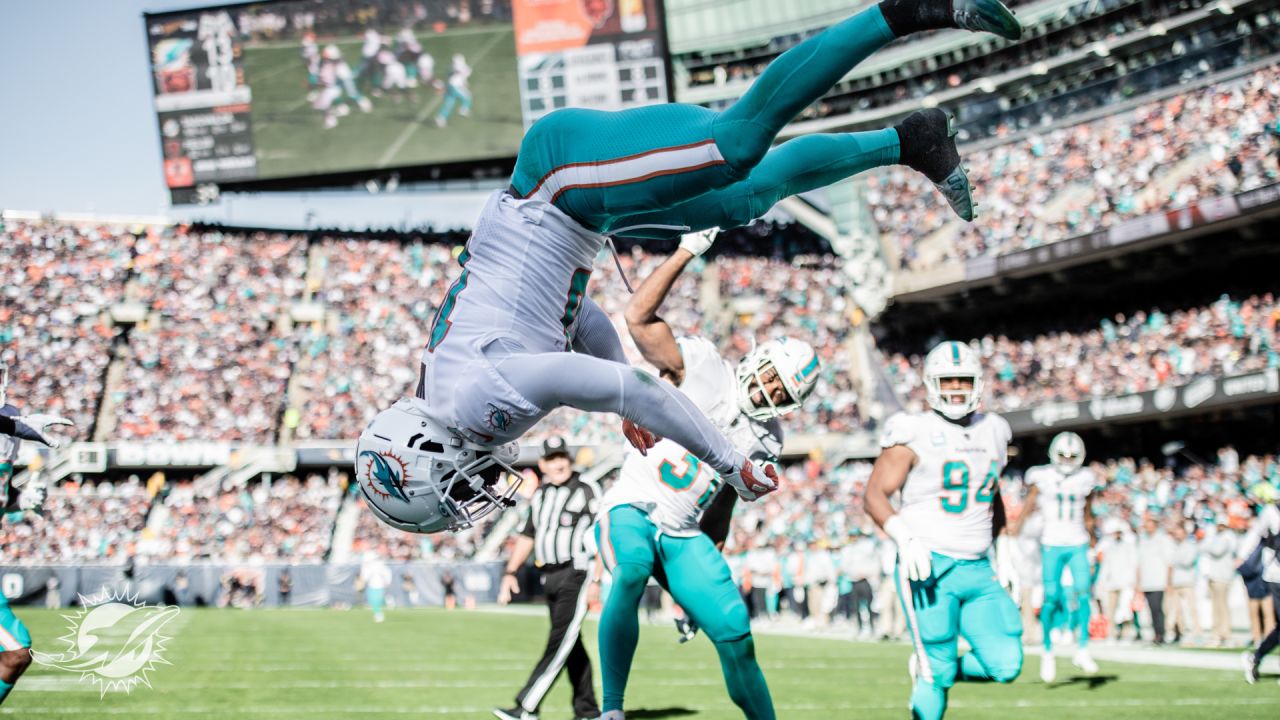 791 Miami Dolphins 16 3 Stock Photos, High-Res Pictures, and