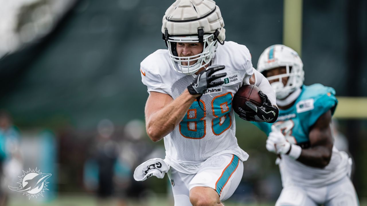 Local legends thrill at Dolphins training camp