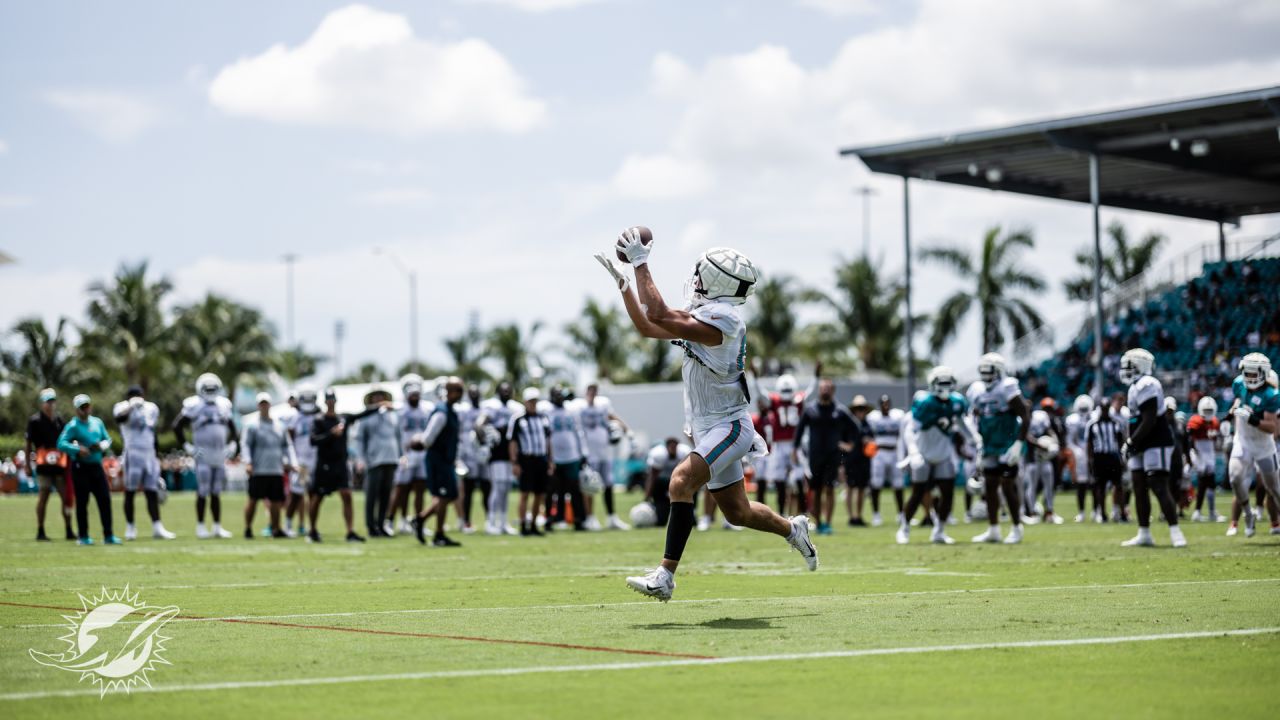 Miami Dolphins tight end Durham Smythe (81) on the field as the