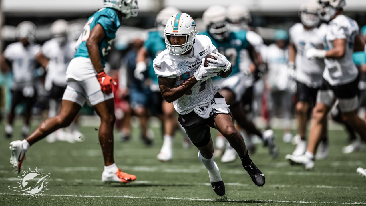 Dolphins Fans Attend First Open Practice of 2022 Training Camp – NBC 6  South Florida