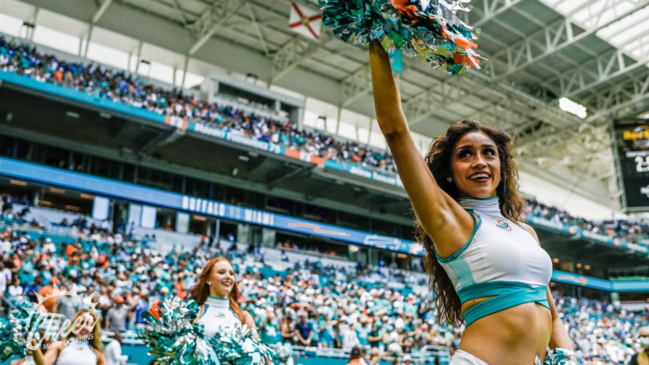 Miami Dolphins Cheerleaders and Dolphins mascot T.D. entertain the crowd in  Christmas attire during the first half against the Buffalo Bills at Sun  Life Stadium on December 23, 2012 in Miami, Florida.