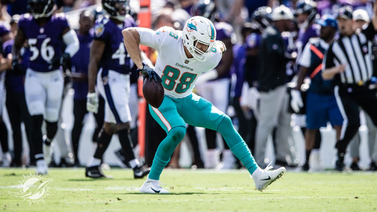 Ravens loss to Dolphins makes Miami fans' confidence plummet following Week  2 - Baltimore Beatdown