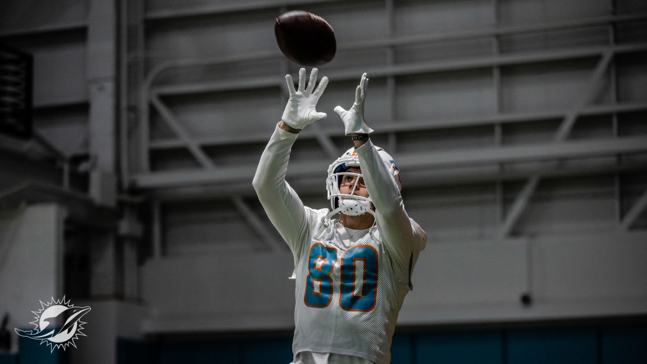 PHOTOS: 2022 Miami Dolphins Practice - November 2