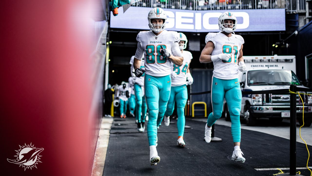 PHOTOS: Gameday - Miami Dolphins at New England Patriots - Week 17