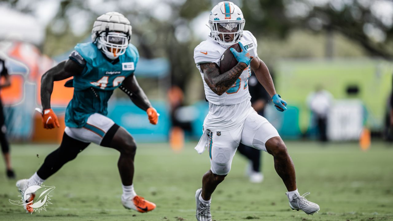 Reporte de Práctica 16 de los Miami Dolphins, noticias y