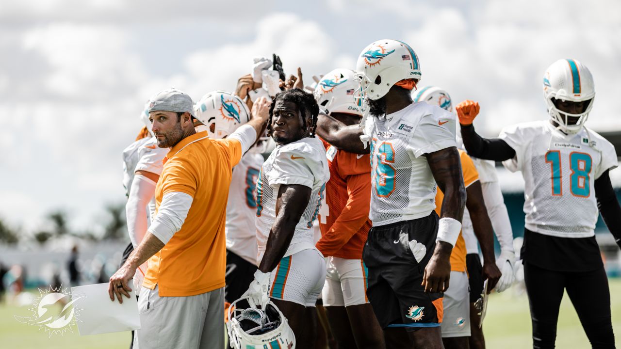 Dolphins training camp features 14 open practices at new facility