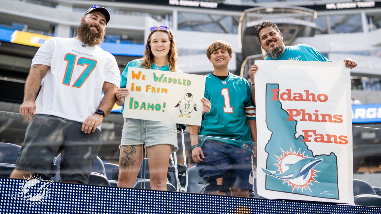 phins game