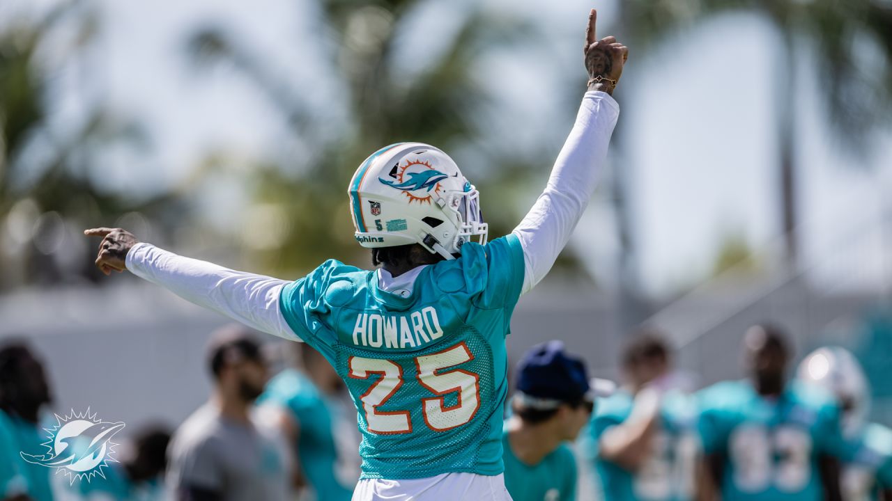 Miami Dolphins WR Braylon Sanders Shining at Camp - Sports Illustrated Miami  Dolphins News, Analysis and More