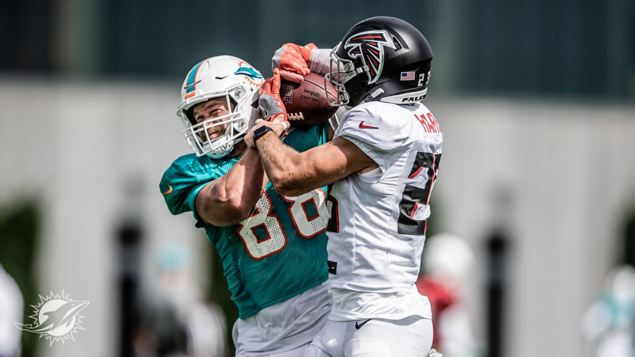 Dolphins host Eagles for joint practices