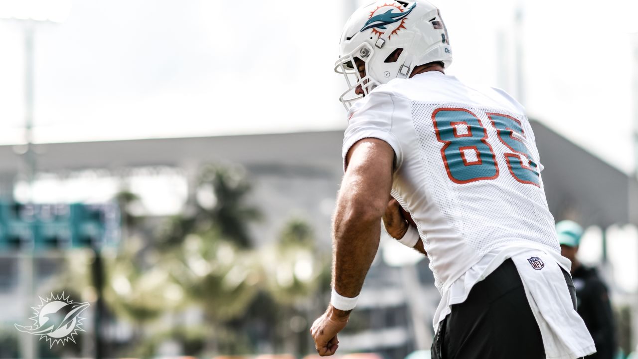 Miami Dolphins Training Camp 2013: Day 1 and 2 Photo Gallery - The Phinsider