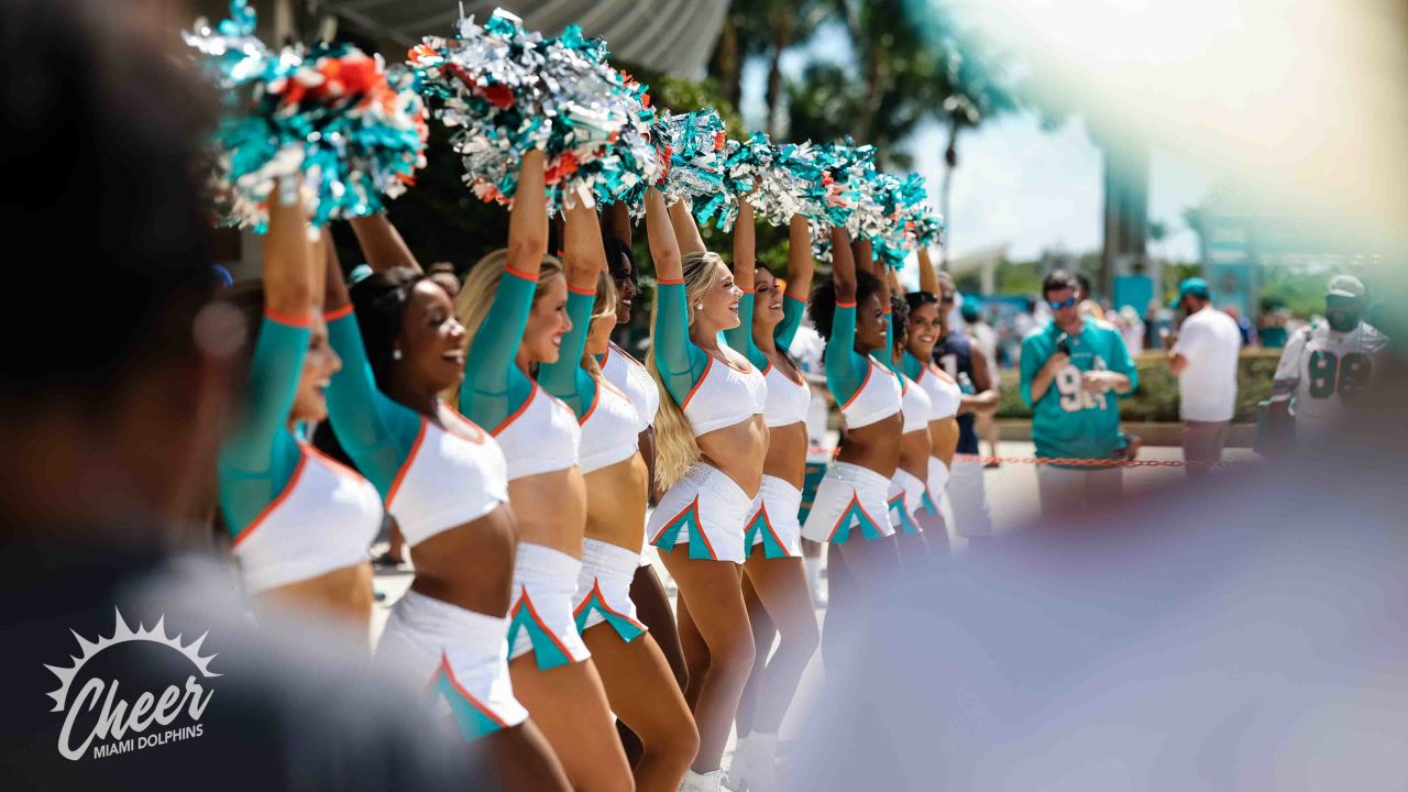 PHOTOS: Dolphins Cheer  Patriots vs. Dolphins - Week 1