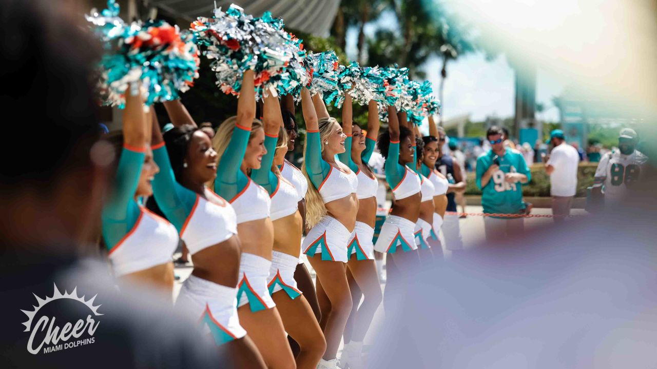 Cheerleaders Perform During Patriots - Dolphins Game