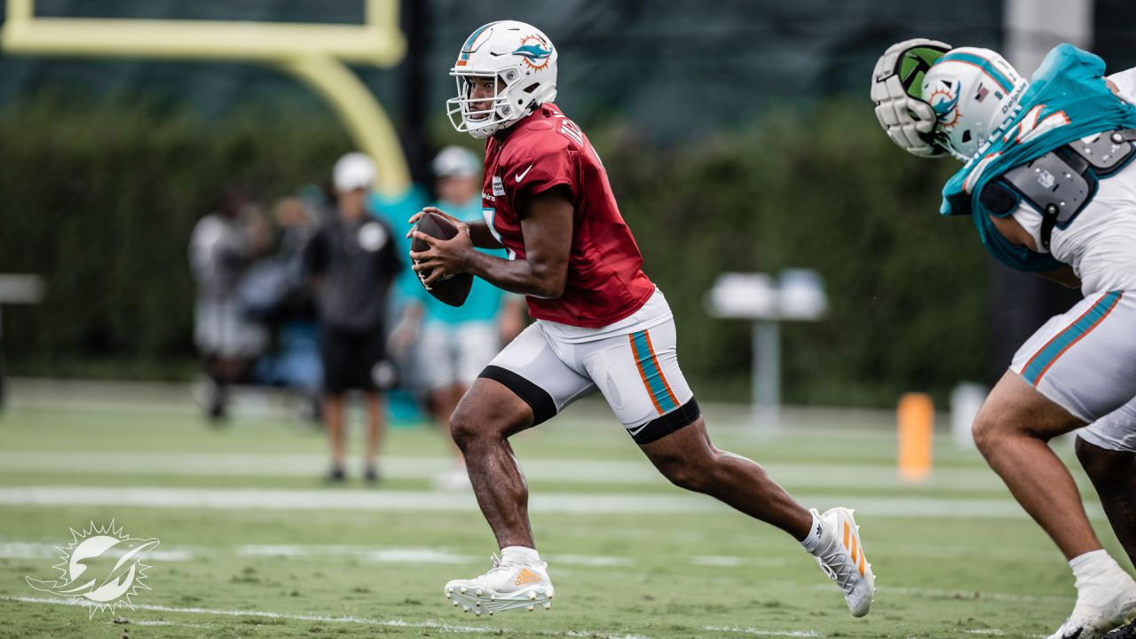 Local legends thrill at Dolphins training camp