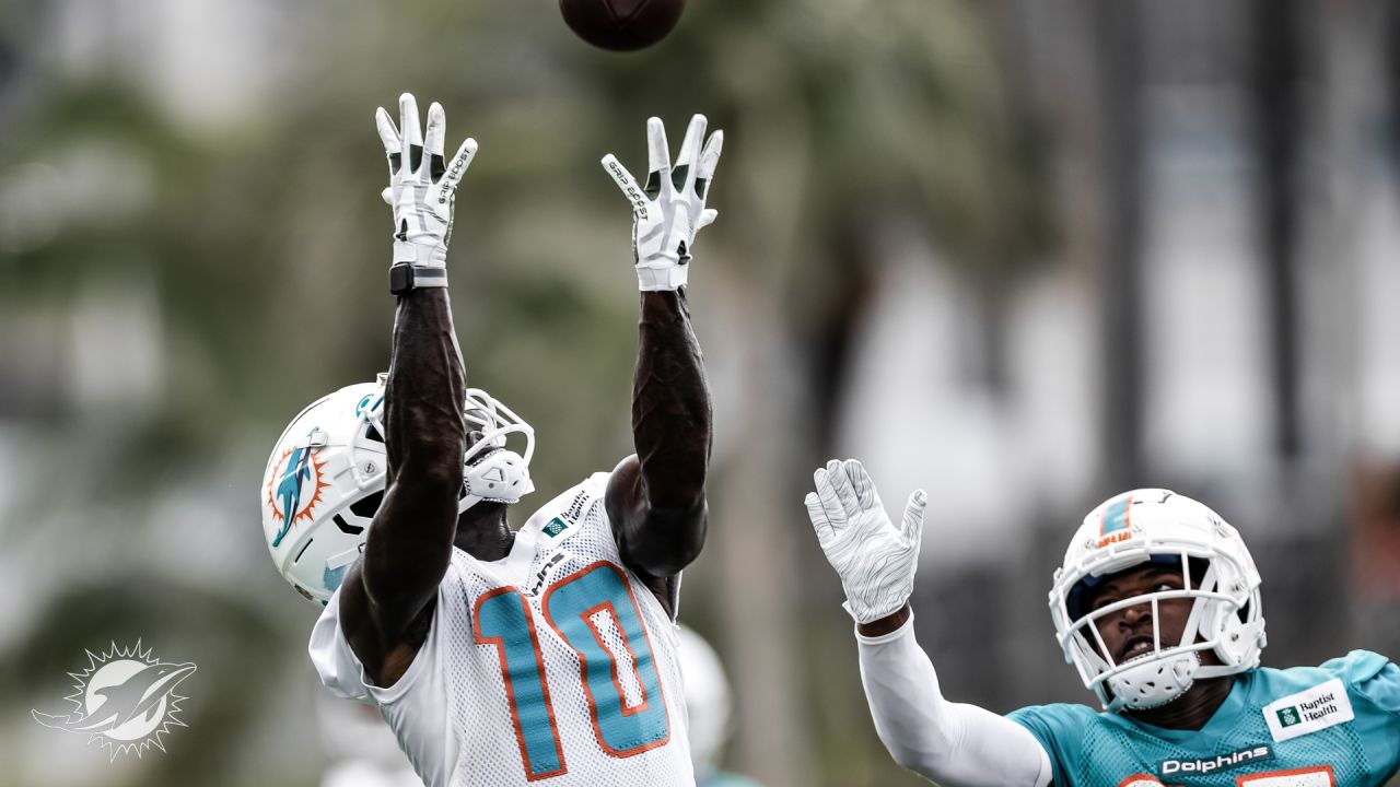 Dolphins Fans Attend First Open Practice of 2022 Training Camp – NBC 6  South Florida