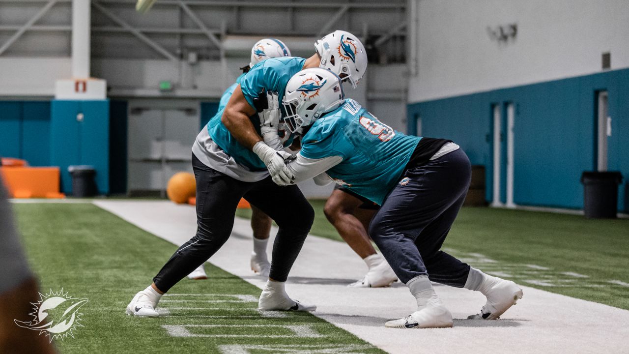 Miami Gardens, Florida, USA. 17th Nov, 2019. Miami Dolphins