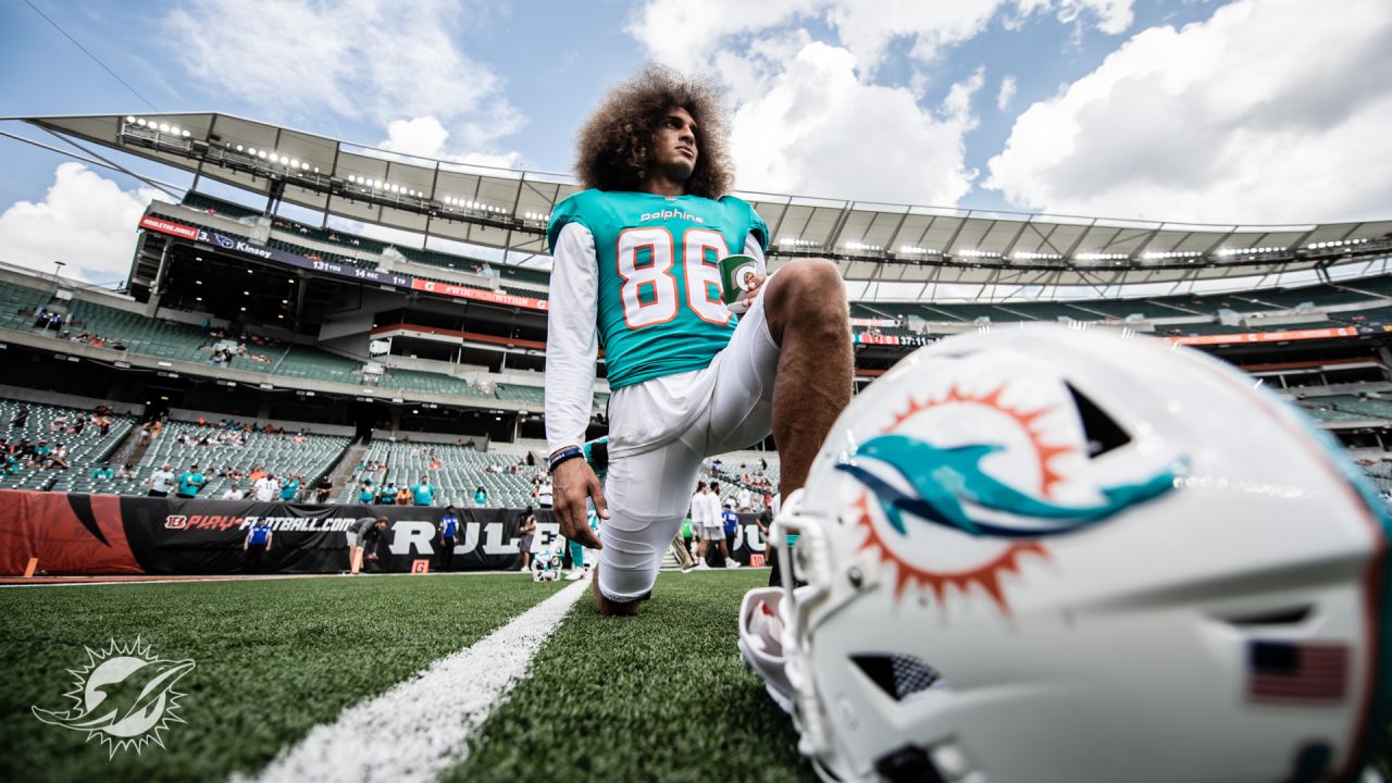 PHOTOS: Gameday - Dolphins vs. Bengals - Preseason Week 3