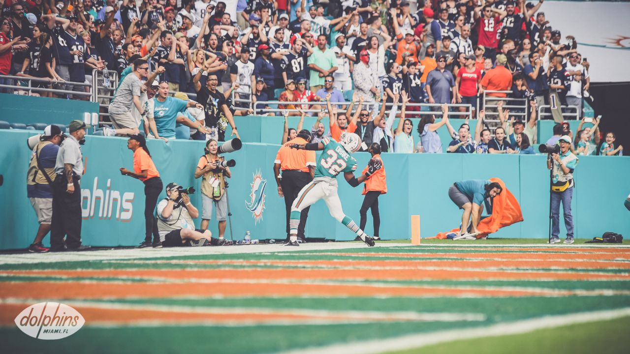 DOLPHINS DARKROOM: Throwback End Zones