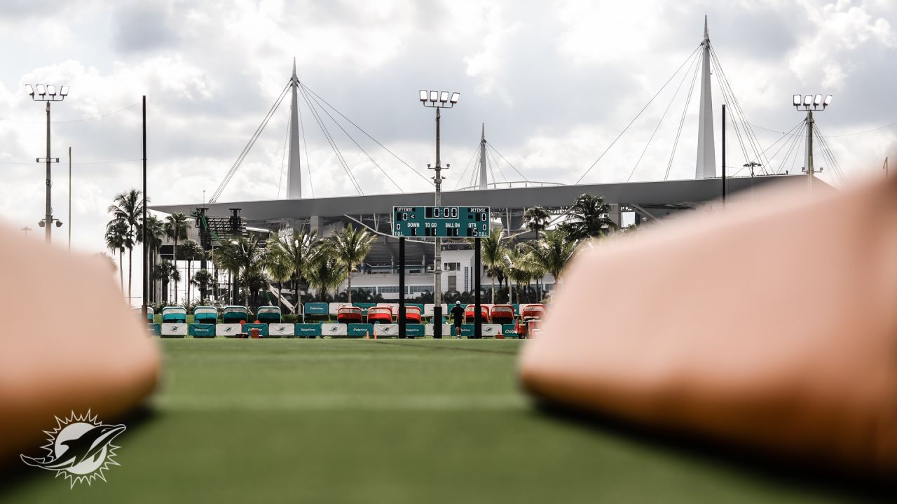 6,274 Miami Dolphins Training Facility Stock Photos, High-Res